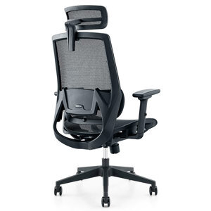 Ghế công thái học Warrior Marshal WEC630