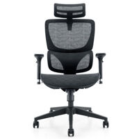 Ghế công thái học Warrior Marshal WEC620