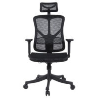 Ghế công thái học Warrior Marshal WEC610