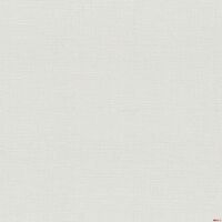 Giấy dán tường Albany 6811