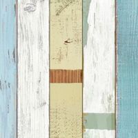 Giấy dán tường BOS 59232