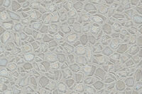 Giấy dán tường charmant 8629