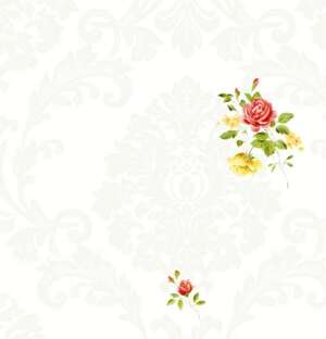 Giấy dán tường Feliz 9706