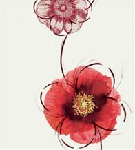 Giấy dán tường Hàn Quốc 9112-2