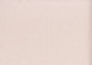 Giấy dán tường Imperssion 52044