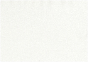 Giấy dán tường The View 3000