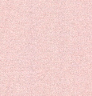 Giấy dán tường trẻ em A5022-4