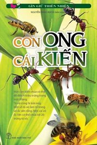 Gìn Giữ Thiên Nhiên - Con Ong Cái Kiến