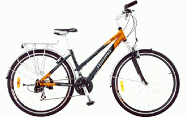 Xe đạp Asama thể thao AMT-48G 