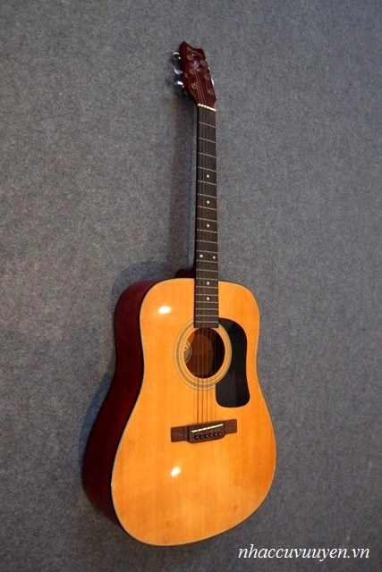 Đàn Guitar Acoustic Washburn D-10N