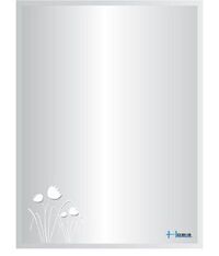 Gương phòng tắm Hobig phun cát HB5-005 (45x60)
