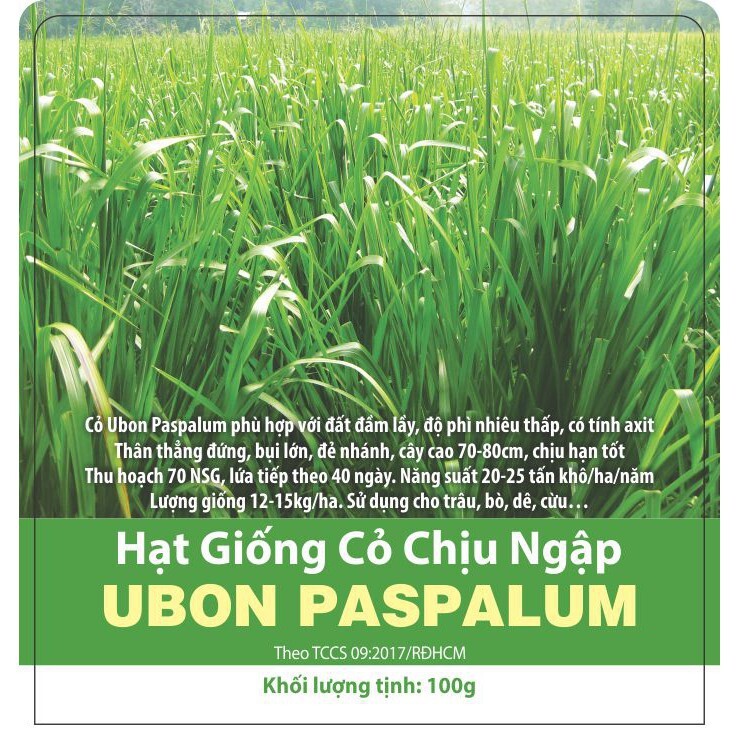 Hạt giống cỏ chịu ngập Ubon Paspalum - Gói 1Kg