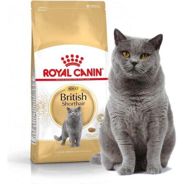 Hạt khô Royal Canin British Shorthair Adult 2kg
