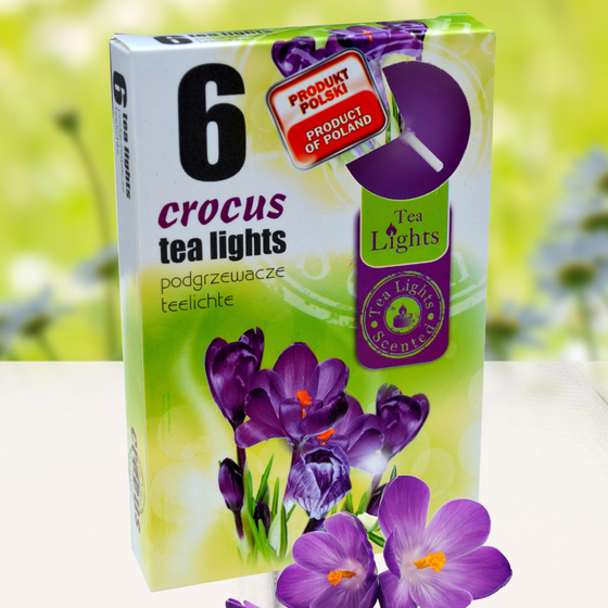 Hộp 6 nến thơm tinh dầu Tealight Admit Crocus QT026104 - hoa nghệ tây
