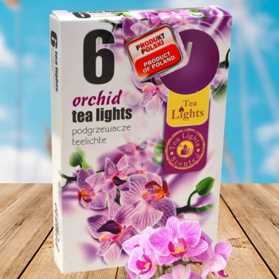 Hộp 6 nến thơm tinh dầu Tealight Admit Orchid QT026069 - lan hồ điệp