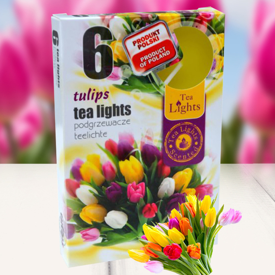 Hộp 6 nến thơm tinh dầu Tealight Admit Tulips QT026054 - hương hoa tulips