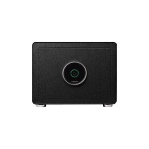 Két sắt điện tử vân tay thông minh Xiaomi CRMCR BGX-X1-30Z