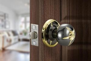 Khóa nắm đấm VICKINI 30854.001