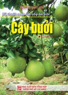 Kỹ thuật canh tác cây ăn trái (Quyển 1): Cây bưởi - Nguyễn Danh Vàn