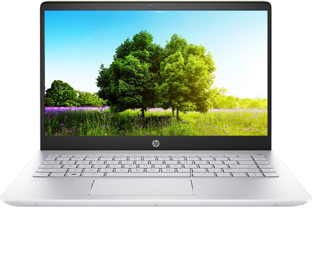 Laptop HP Pavilion 14-bf116TU 3MS12PA - Intel core i5, 4GB RAM, HDD 1TB, Intel UHD Graphics 620, 14 inch