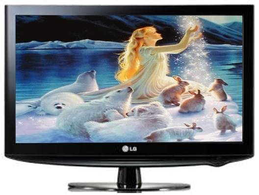 Tivi LCD LG 32 inch FullHD 32LD310