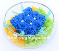 Lọ 9 hoa hồng xanh LH28