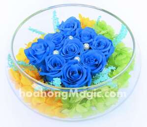 Lọ 9 hoa hồng xanh LH28