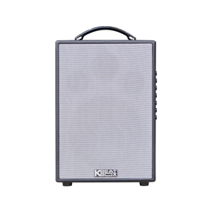 Loa Acnos CS121