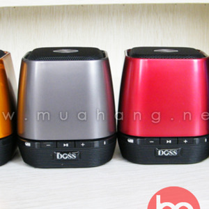 Loa Bluetooth Doss Asat DS-1121