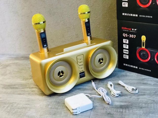 Loa bluetooth karaoke QiSheng QS-307 - kèm 2 micro