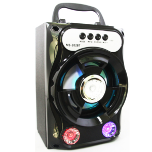 Loa Bluetooth MS-202BT