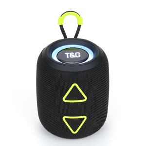 Loa Bluetooth T&G TG 655
