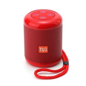 Loa Bluetooth T&G TG 519