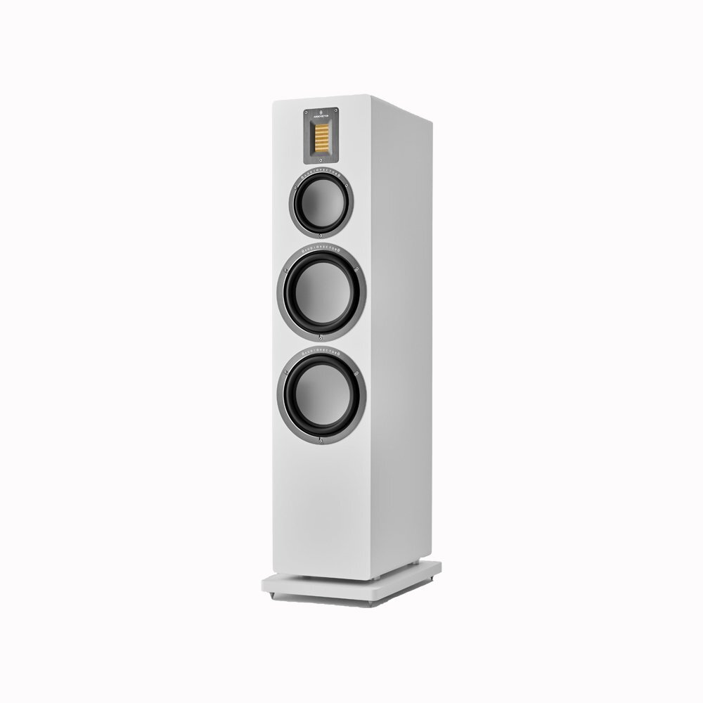 Loa cây (Floor Standing) Audiovector QR 7