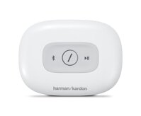 Loa Harman Kardon Citation Adapt