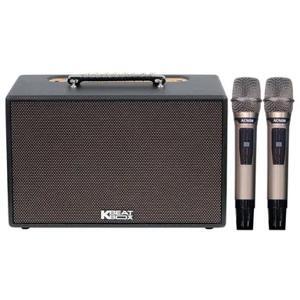 Loa Karaoke Acnos CS201PLUS