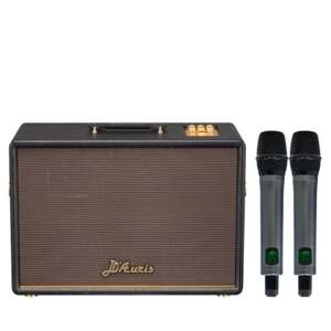 Loa karaoke Acnos D'Auris 500