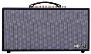 Loa karaoke di động Acnos HN450