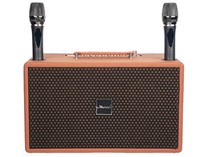 Loa karaoke di động Microtek HD-368