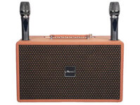 Loa karaoke di động Microtek HD-368