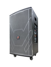 Loa karaoke di động Prosing DSP-SUPER