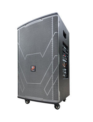 Loa karaoke di động Prosing DSP-SUPER