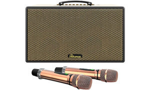 Loa Karaoke Paramax Aura