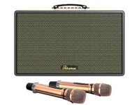 Loa karaoke Paramax Saga