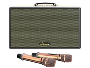 Loa karaoke Paramax Saga