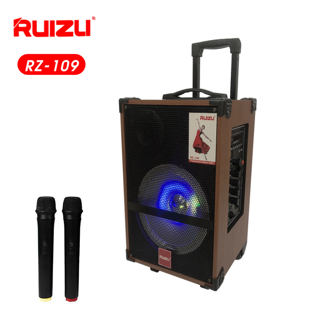 Loa karaoke Ruizu RZ-109