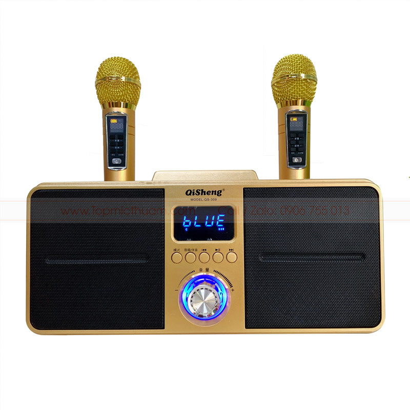 Loa karaoke SD-309