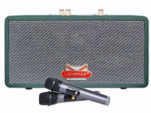 Loa karaoke xách tay Ladomax HA-6210