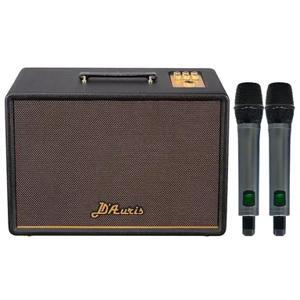 Loa karaoke xách tay Soncamedia D'Auris 300