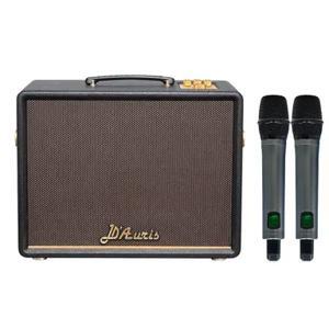 Loa karaoke xách tay Soncamedia D'Auris 200